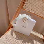 Dior-Unisex-CD-Saddle-Belt-Latte-Ultrasmooth-Calfskin-White-Crystals-20-MM-Width-1.jpg