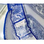 Dior-Unisex-CD-Small-Diorcamp-Bag-Transparent-Canvas-Fluorescent-Blue-Toile-De-Jouy-3.jpg
