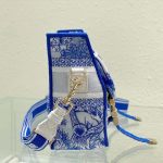 Dior-Unisex-CD-Small-Diorcamp-Bag-Transparent-Canvas-Fluorescent-Blue-Toile-De-Jouy-3.jpg