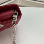 Dior-Women-CD-Medium-D-Joy-Bag-Scarlet-Red-Cannage-Lambskin-1.jpg