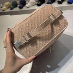 Dior-Women-Diortravel-Vanity-Case-Mesh-Embroidery-sandy-1.jpg