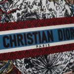 Dior-Women-Medium-Lady-D-lite-Bag-Latte-Multicolor-Dior-Constellation-Embroidery-white-1.jpg