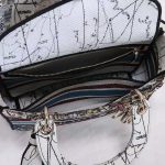 Dior-Women-Medium-Lady-D-lite-Bag-Latte-Multicolor-Dior-Constellation-Embroidery-white-1.jpg