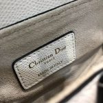 Dior-Women-Saddle-Bag-Latte-Ultramatte-Calfskin-D-CD-Signature-White-1.jpg