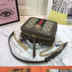 Gucci-GG-Women-Ophidia-GG-Mini-Shoulder-Bag-BeigeEbony-Supreme-1.jpg