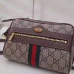 Gucci-GG-Women-Ophidia-GG-Supreme-Mini-Bag-in-BeigeEbony-GG-Supreme-Canvas-1.jpg
