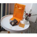 Louis-Vuitton-LV-Unisex-Pocket-Organizer-Giant-Damier-Ebene-Canvas-9.jpg