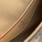 Louis-Vuitton-LV-Women-Diane-Handbag-Beige-Brown-Monogram-Coated-Canvas-Shearling-5.jpg