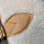 Louis-Vuitton-LV-Women-Diane-Handbag-Beige-Brown-Monogram-Coated-Canvas-Shearling-5.jpg