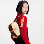 Louis-Vuitton-LV-Women-Diane-Handbag-Beige-Brown-Monogram-Coated-Canvas-Shearling-5.jpg