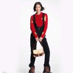 Louis-Vuitton-LV-Women-Diane-Handbag-Beige-Brown-Monogram-Coated-Canvas-Shearling-5.jpg