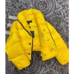 Louis-Vuitton-LV-Women-Down-Jacket-Silky-Nylon-Satin-Louis-Vuitton-Patch-Yellow-4.jpg