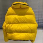 Louis-Vuitton-LV-Women-Down-Jacket-Silky-Nylon-Satin-Louis-Vuitton-Patch-Yellow-4.jpg