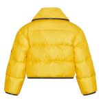 Louis-Vuitton-LV-Women-Down-Jacket-Silky-Nylon-Satin-Louis-Vuitton-Patch-Yellow-4.jpg