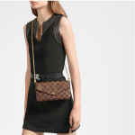 Louis-Vuitton-LV-Women-Felicie-Pochette-Brown-Damier-Ebene-Coated-Canvas-2.jpg