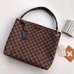 Louis-Vuitton-LV-Women-Graceful-PM-Hobo-in-Graphic-Damier-Ebene-Canvas-Brown-1.jpg