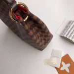 Louis-Vuitton-LV-Women-Graceful-PM-Hobo-in-Graphic-Damier-Ebene-Canvas-Brown-1.jpg