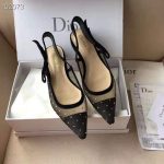 dior_women_j_adior_ballet_pump_in_gold-tone_dotted_swiss_in_1cm_heel-black_1_.jpg