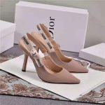 dior_women_j_adior_slingback_pump_10_cm_heel-sandy_1_.jpg