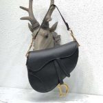 dior_women_saddle_bag_in_black_calfskin_1_.png