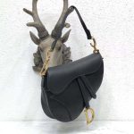 dior_women_saddle_bag_in_black_calfskin_1_.png