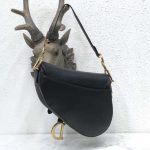 dior_women_saddle_bag_in_black_calfskin_1_.png