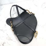 dior_women_saddle_bag_in_black_calfskin_1_.png