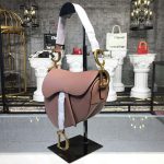 dior_women_mini_saddle_bag_in_pink_calfskin_1_.png