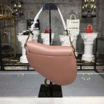 dior_women_mini_saddle_bag_in_pink_calfskin_1_.png