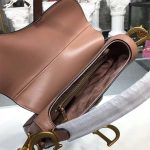 dior_women_mini_saddle_bag_in_pink_calfskin_1_.png