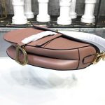 dior_women_mini_saddle_bag_in_pink_calfskin_1_.png