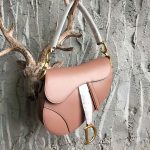dior_women_mini_saddle_bag_in_pink_calfskin_1_.png